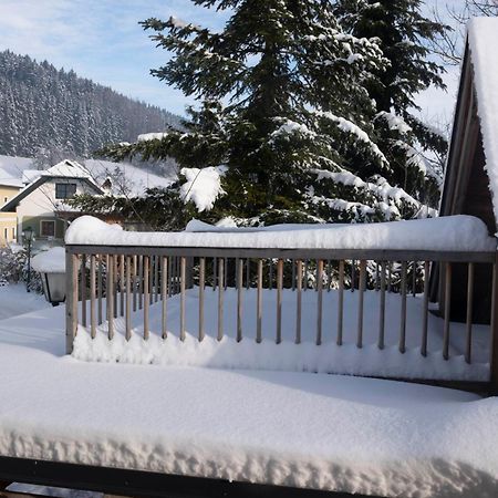 Servus Almtal Scharnstein エクステリア 写真