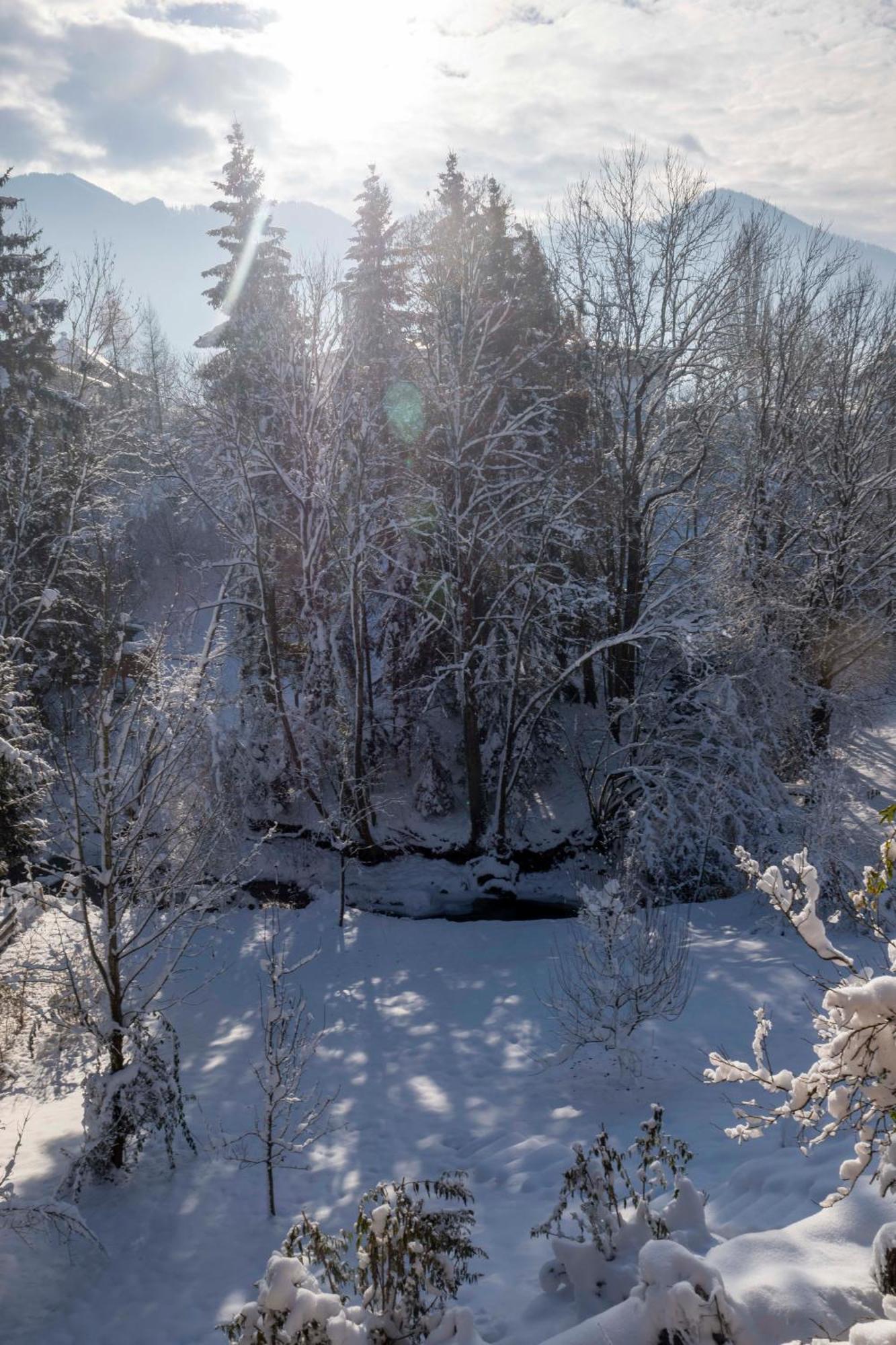 Servus Almtal Scharnstein エクステリア 写真